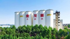 本网通过10个语种11个